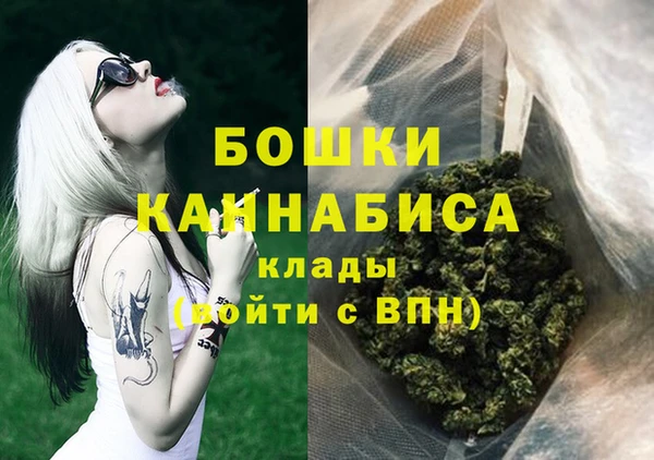 индика Абдулино