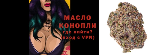 индика Абдулино