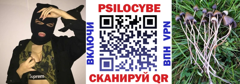Галлюциногенные грибы Cubensis  Инза 